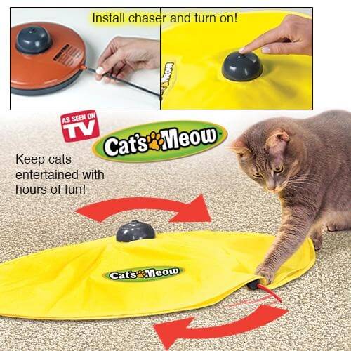 Cat's Meow משחק חתול