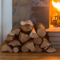 שק עצי הסקה לקמין או למדורה דגם 25004