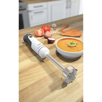 מוט בלנדר מקצועי TOTAL CONTROL