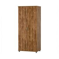 ארון 2 דלתות מרובה מדפים ותליה מתאים לחדרי ילדים