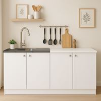 ארון מטבח ברוחב 1.6 מטר כולל כיור נירוסטה סיגלית