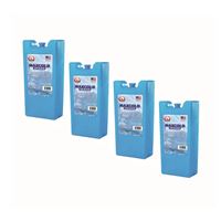 4 יחידות קרחום קטן IGLOO MAXCOLD 25197