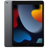 אייפד APPLE iPad 9th Gen 10.2" Wi-Fi 256GB אפור