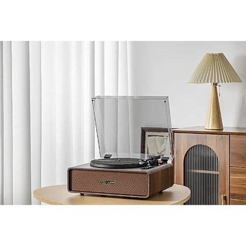 פטיפון מקצועי עם רמקולים פנימיים SAFA MIC-400