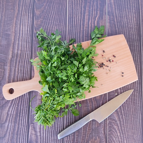 קרש חיתוך עם ידית ECOSALL