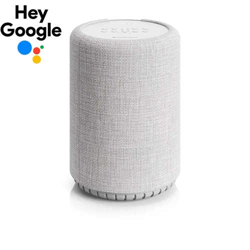 רמקול אלחוטי חכם Audio Pro G10