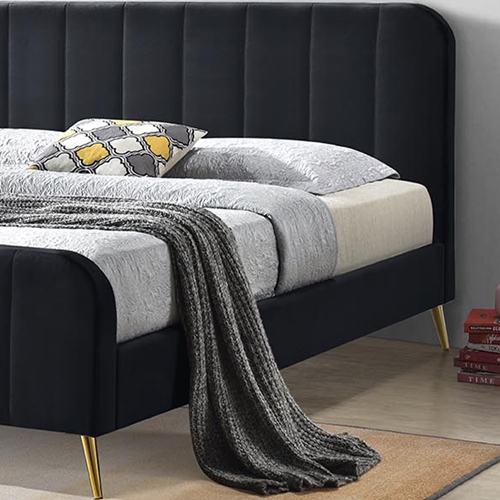 מיטה זוגית מרופדת דגם טייגר HOME DECOR