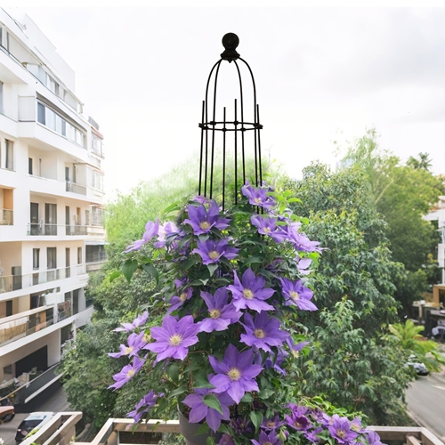 זוג מתקני הדליה לתמיכת צמחים 113 ס"מ דגם 224KD