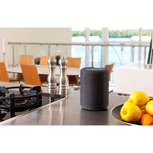 רמקול אלחוטי חכם Audio Pro A10