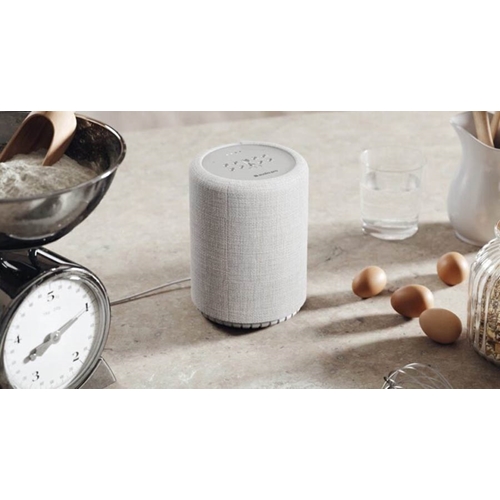 רמקול אלחוטי חכם Audio Pro G10