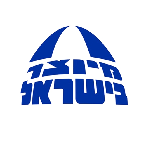 אמא אבא משעמם לי! ערכת יצירה מספר 2 להכנת סידור פרחים, תכ...