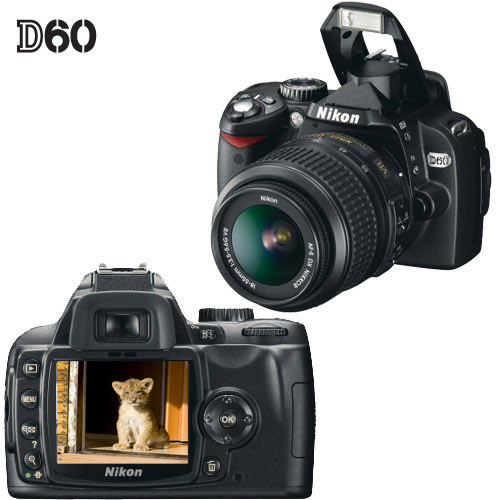 מצלמת רפקלס 10.2 מגה Nikon D60 Body מחודשת+מתנה