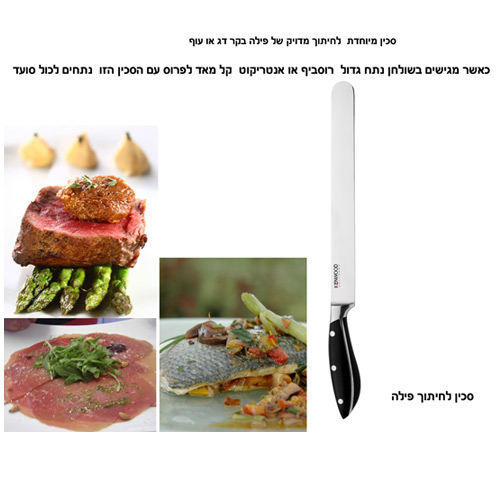 סכין פילוט מקצועית 25 ס"מ KENWOOD