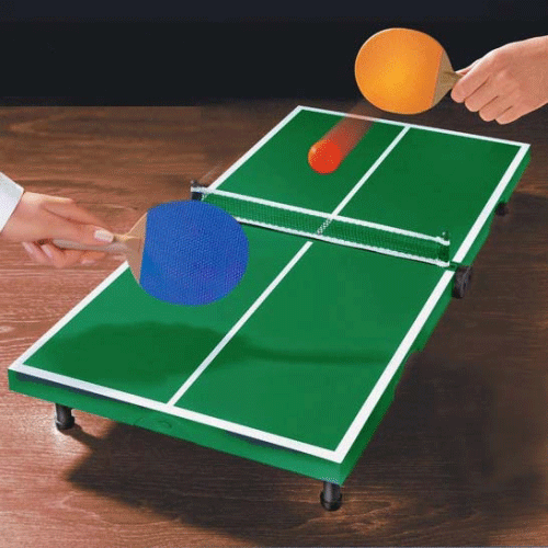 מיני שולחן פינג פונג