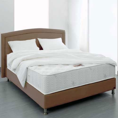 מזרן מסדרת Back System עם 7 אזורי נוחות. ד"ר גב