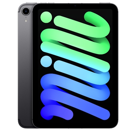 אייפד מיני Apple iPad mini Wi-Fi 256GB אפל אפור