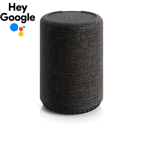 רמקול אלחוטי חכם Audio Pro G10