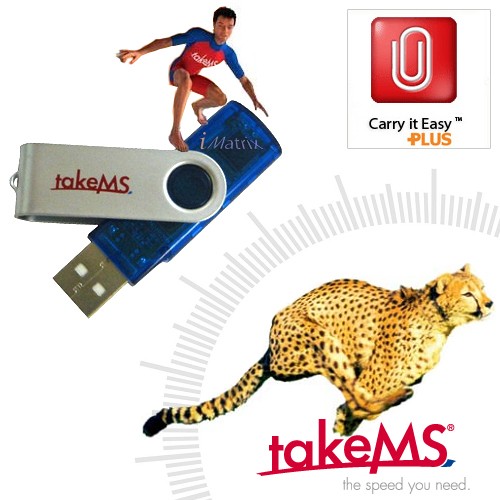 זיכרון נייד TakeMs Disk On Key 4GB