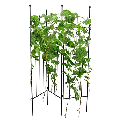 גדר ברזל לתיחום ותמיכת צמחים דגם 21034