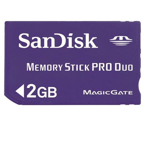 כרטיס זיכרון מסוג Memory Stick PRO Duo בנפח SanD