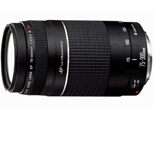 עדשה Canon EF 75-300mm f/4.0-5.6 III